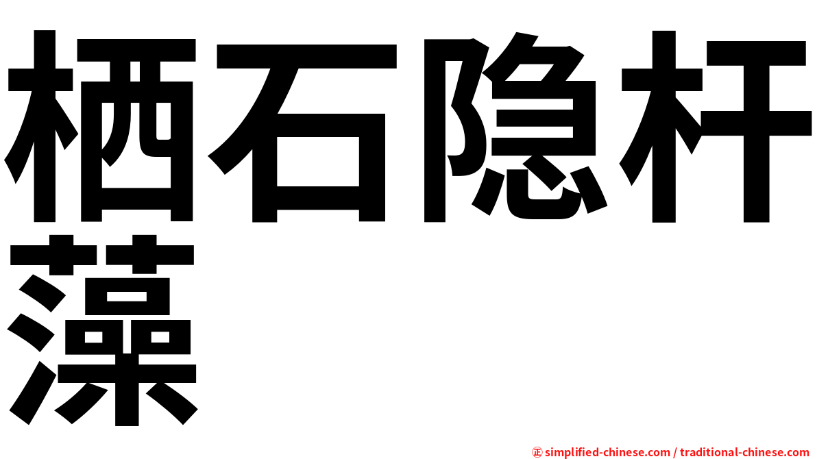 栖石隐杆藻