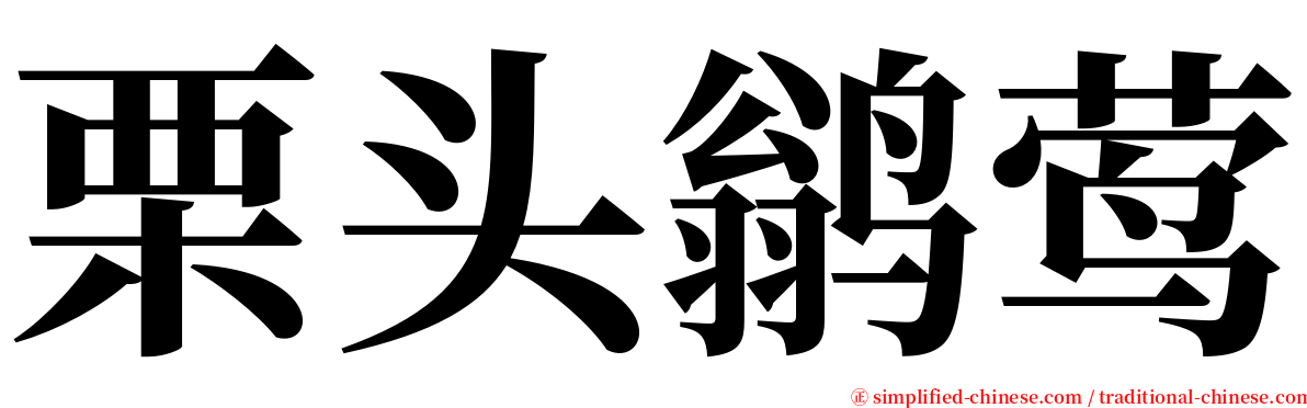 栗头鹟莺 serif font