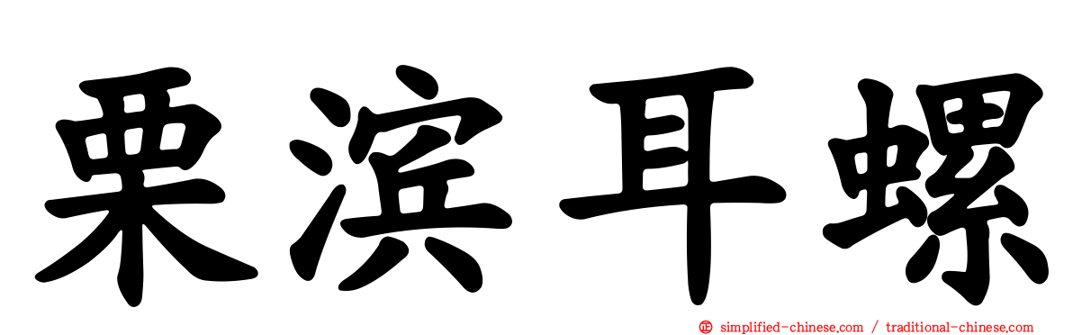 栗滨耳螺