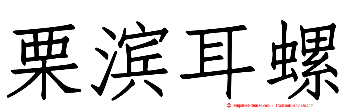 栗滨耳螺