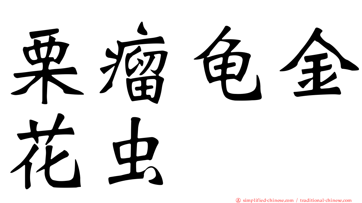 栗瘤龟金花虫