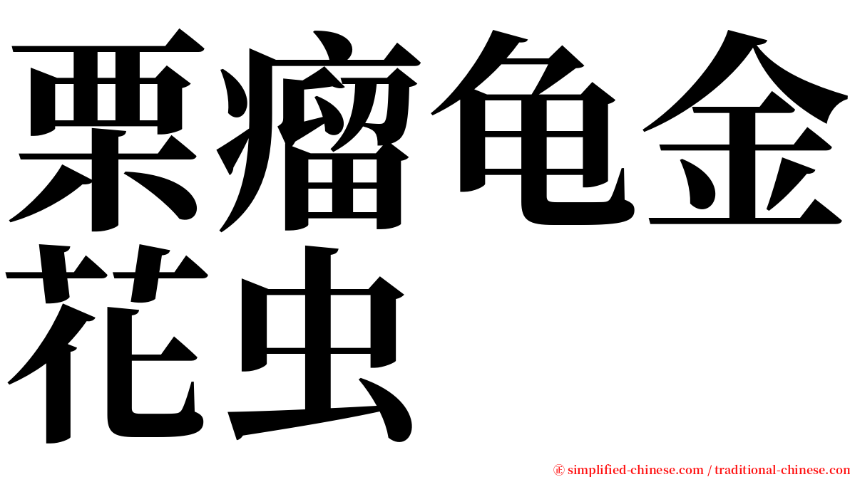 栗瘤龟金花虫 serif font