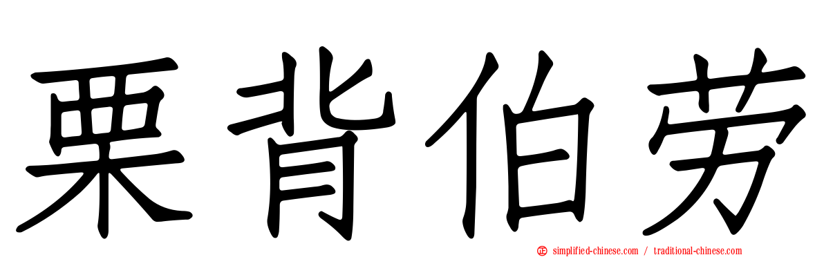 栗背伯劳