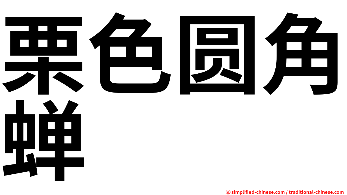 栗色圆角蝉