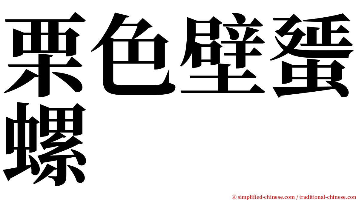 栗色壁蜑螺 serif font