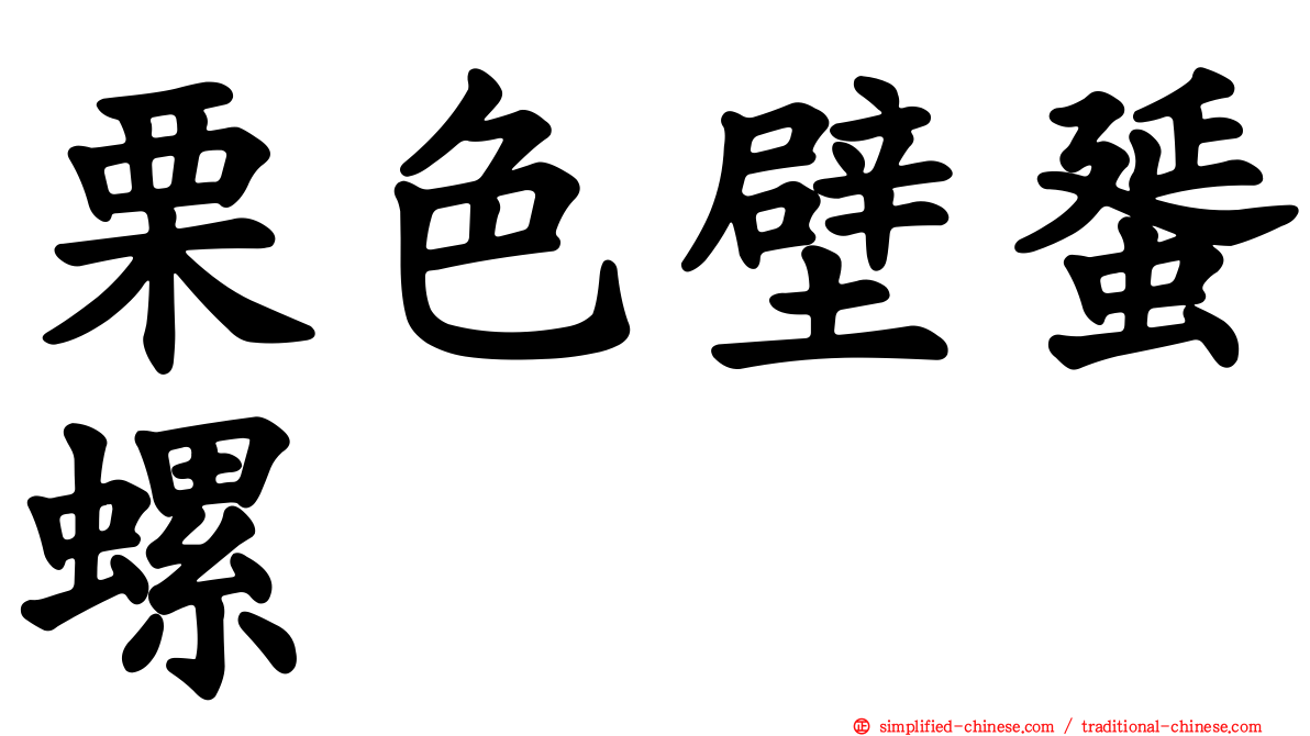 栗色壁蜑螺