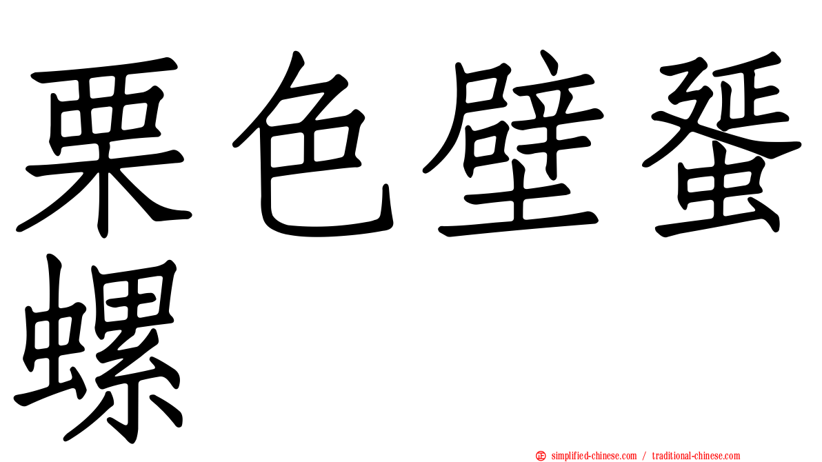 栗色壁蜑螺