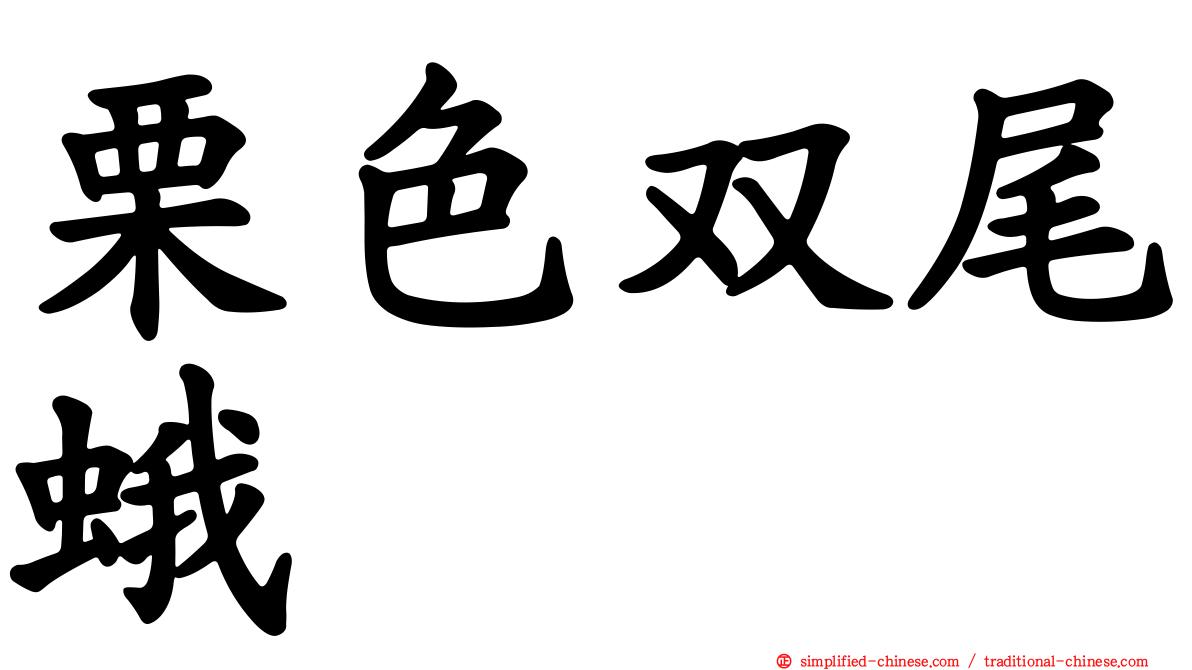 栗色双尾蛾