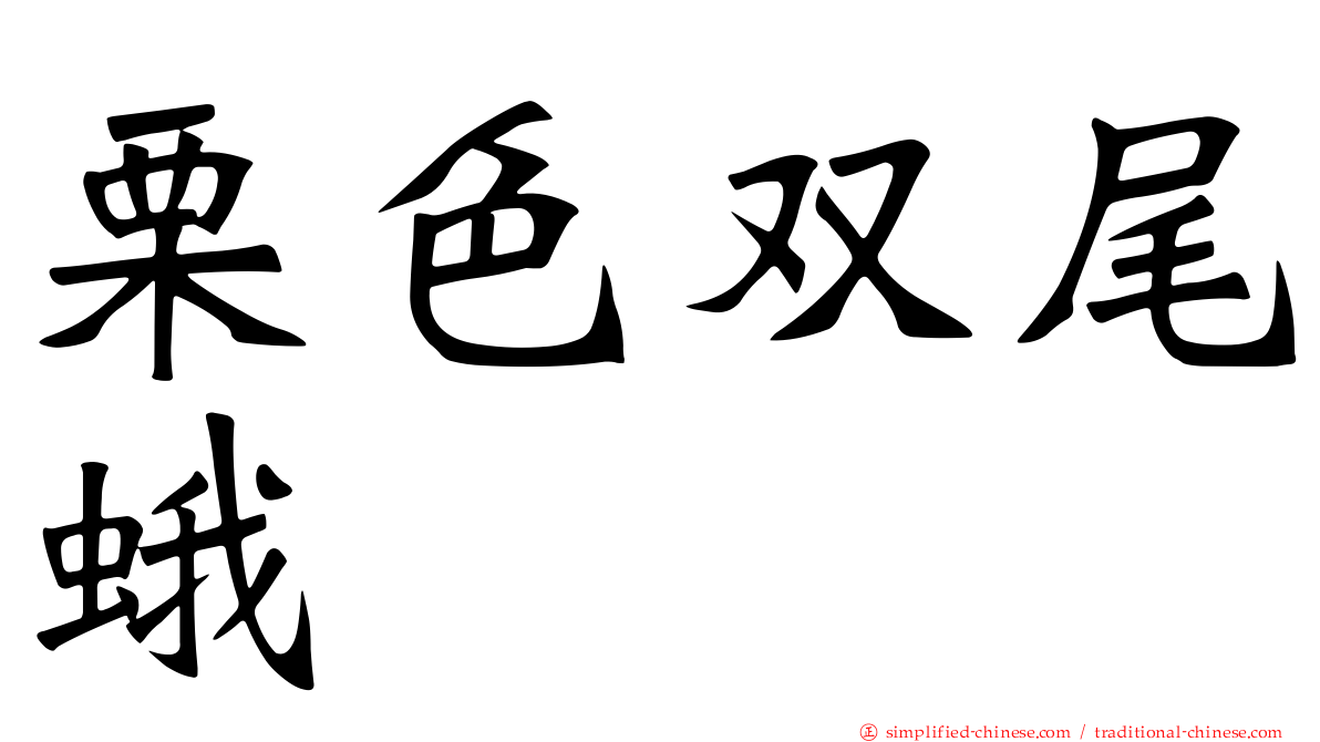 栗色双尾蛾