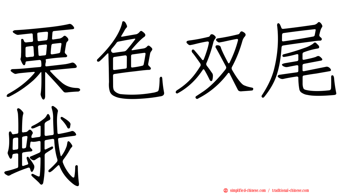 栗色双尾蛾