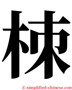 栜 serif font