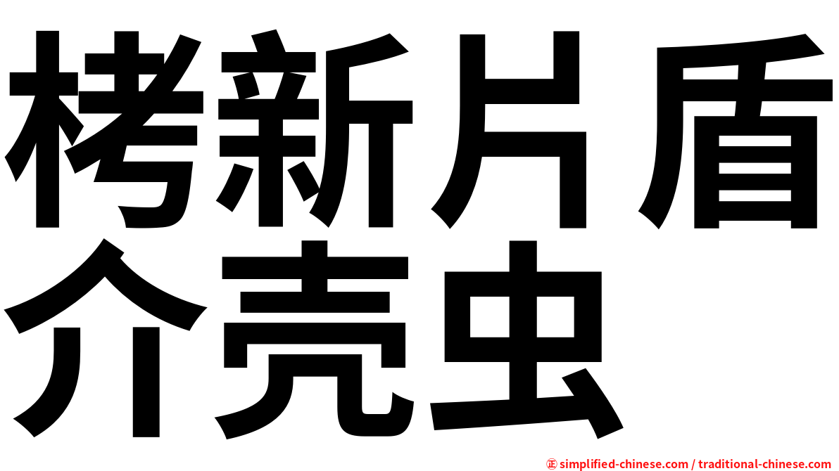 栲新片盾介壳虫