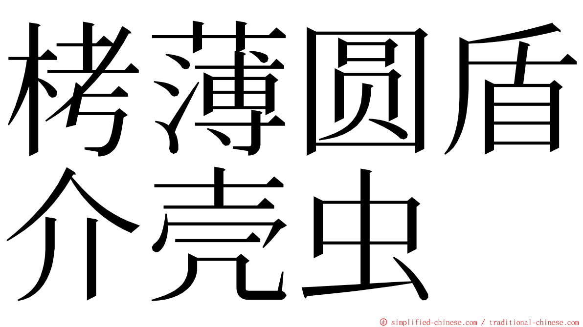 栲薄圆盾介壳虫 ming font