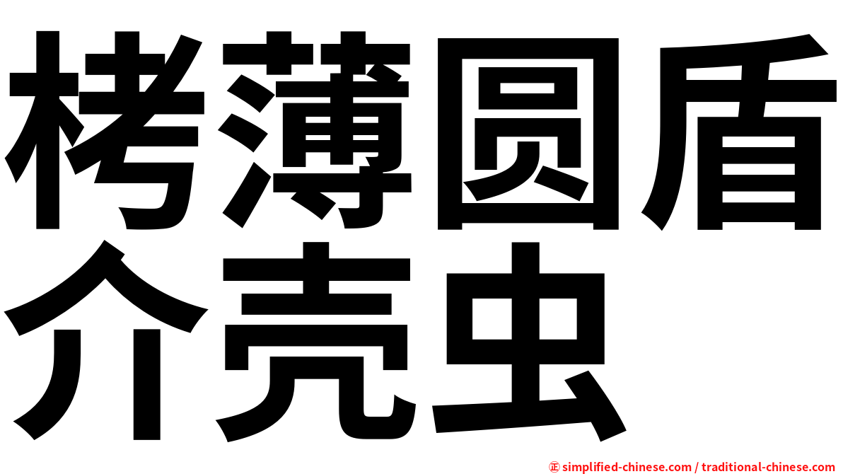 栲薄圆盾介壳虫