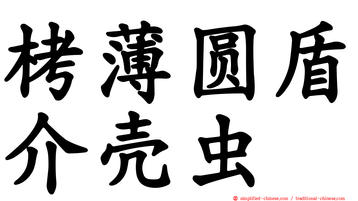 栲薄圆盾介壳虫