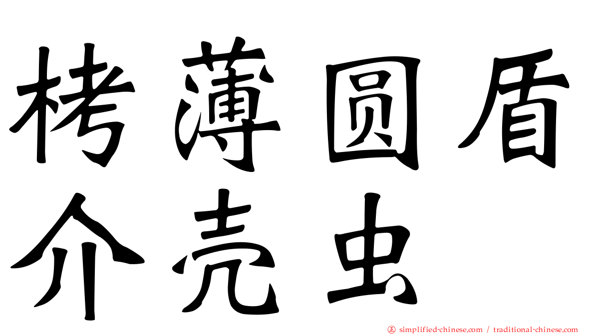 栲薄圆盾介壳虫