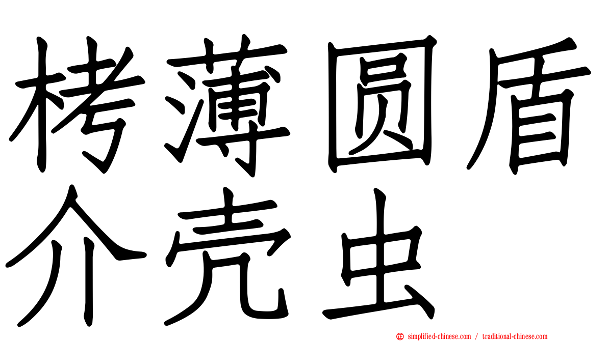 栲薄圆盾介壳虫