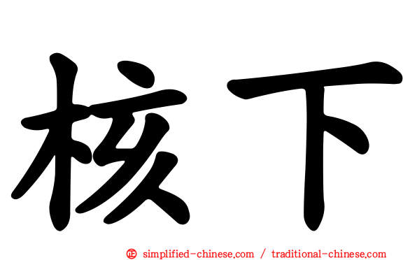 核下