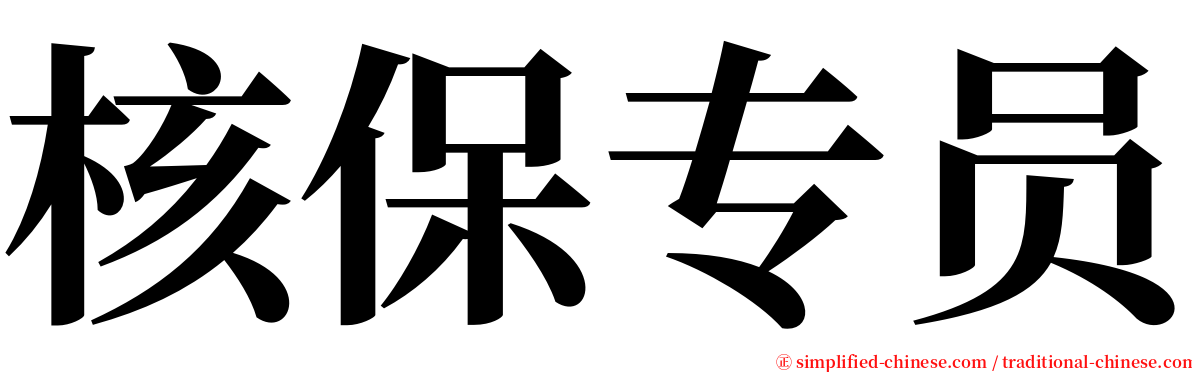核保专员 serif font