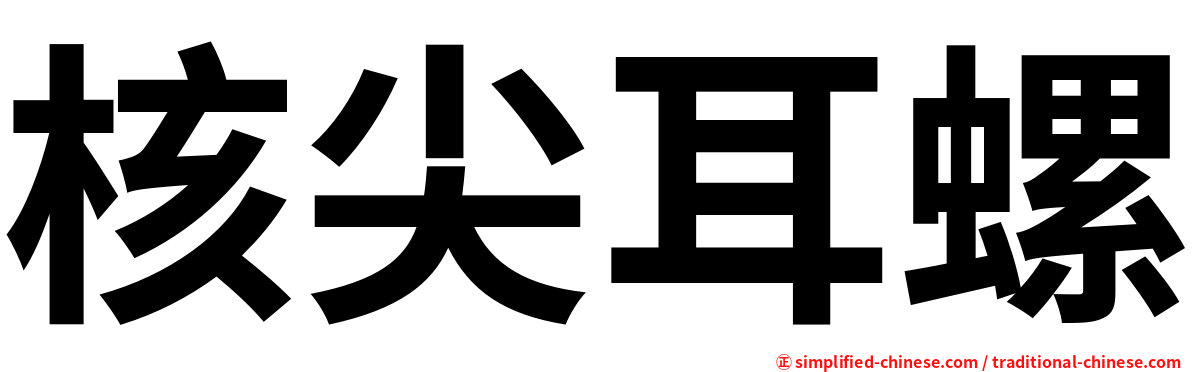 核尖耳螺