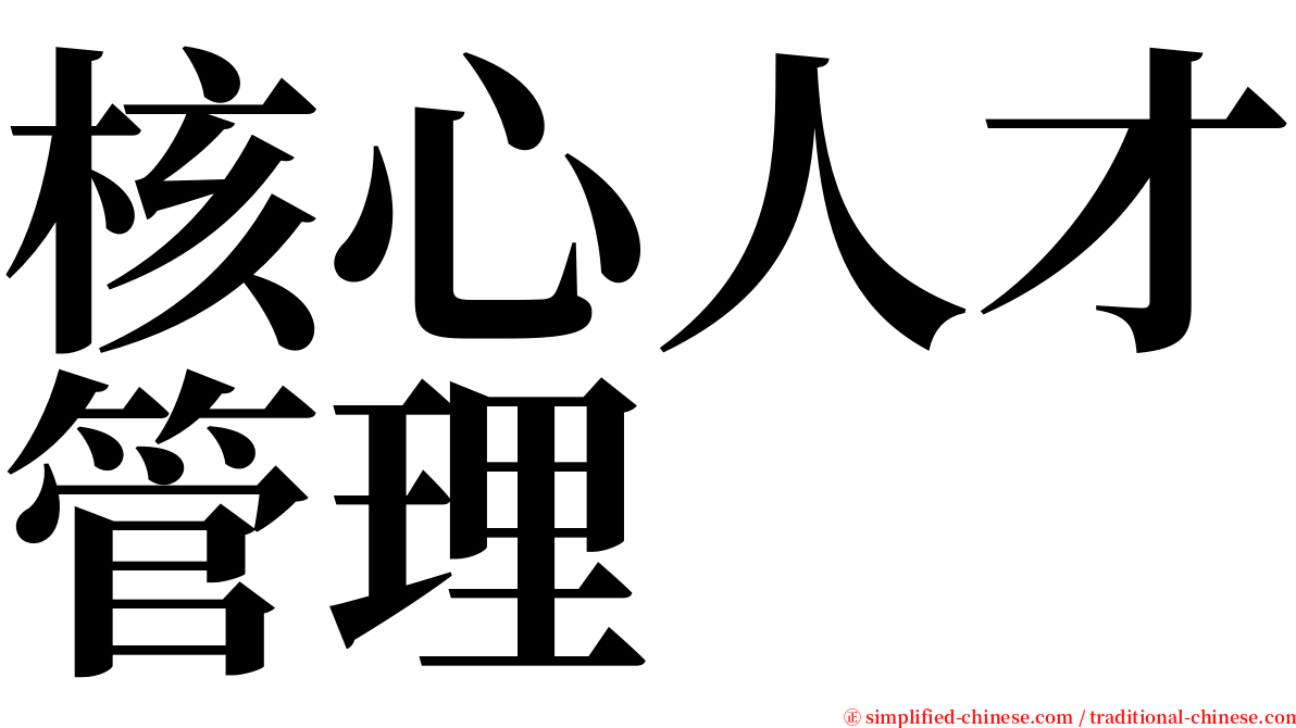 核心人才管理 serif font