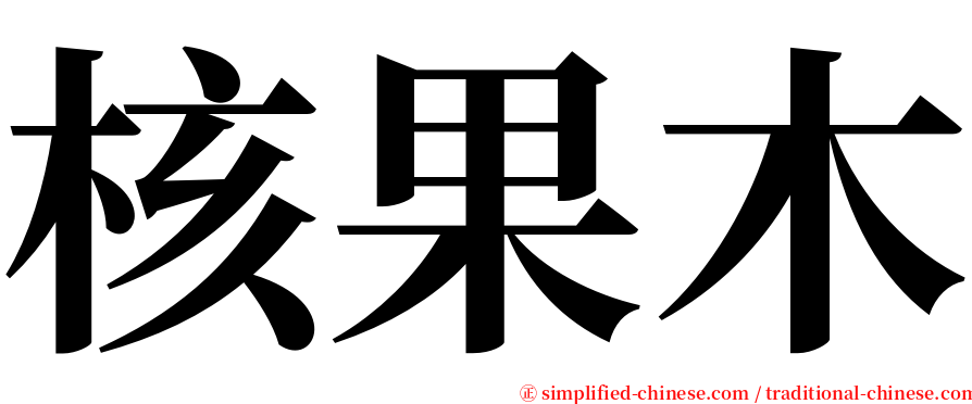 核果木 serif font