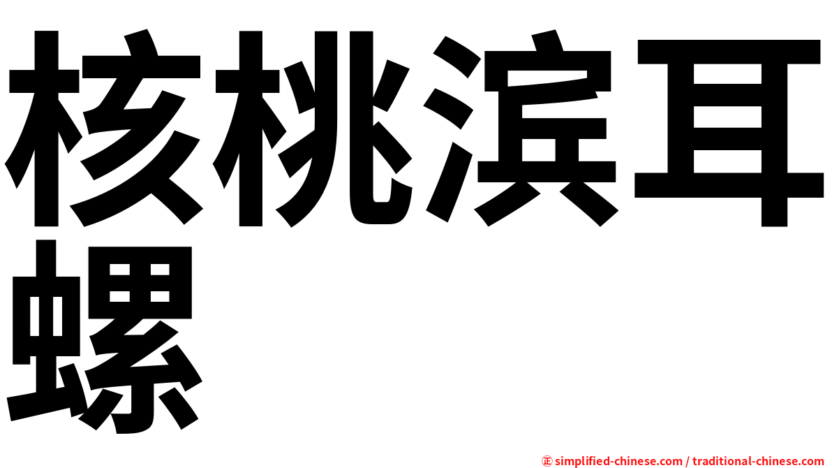 核桃滨耳螺