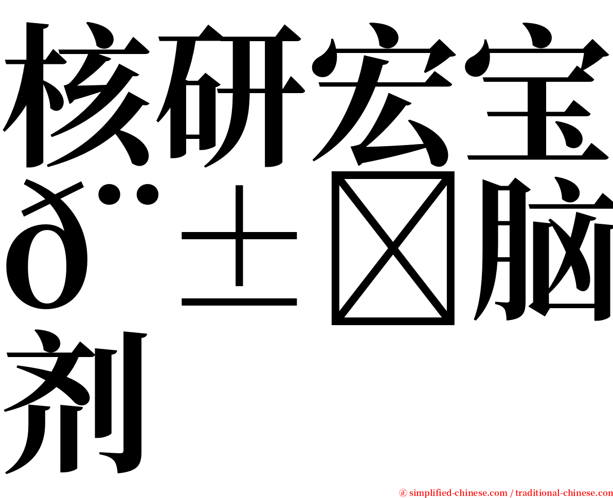 核研宏宝𨱏脑造影剂 serif font