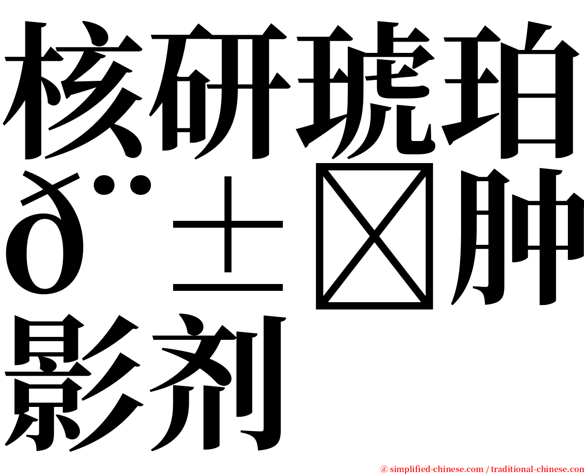 核研琥珀𨱏肿瘤造影剂 serif font