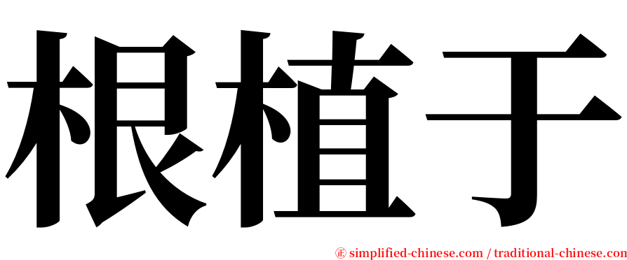 根植于 serif font