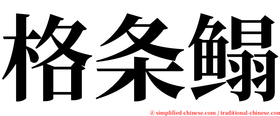 格条鳎 serif font