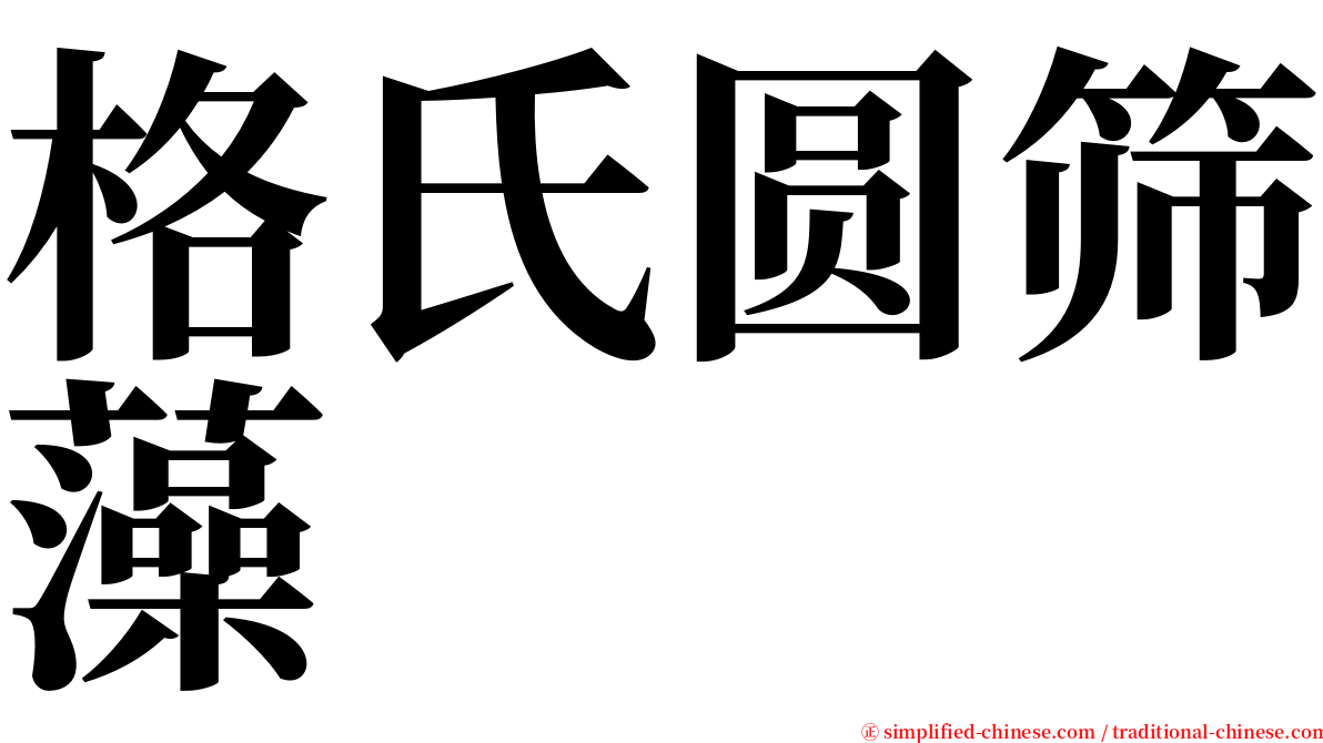 格氏圆筛藻 serif font