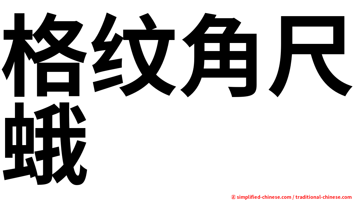 格纹角尺蛾