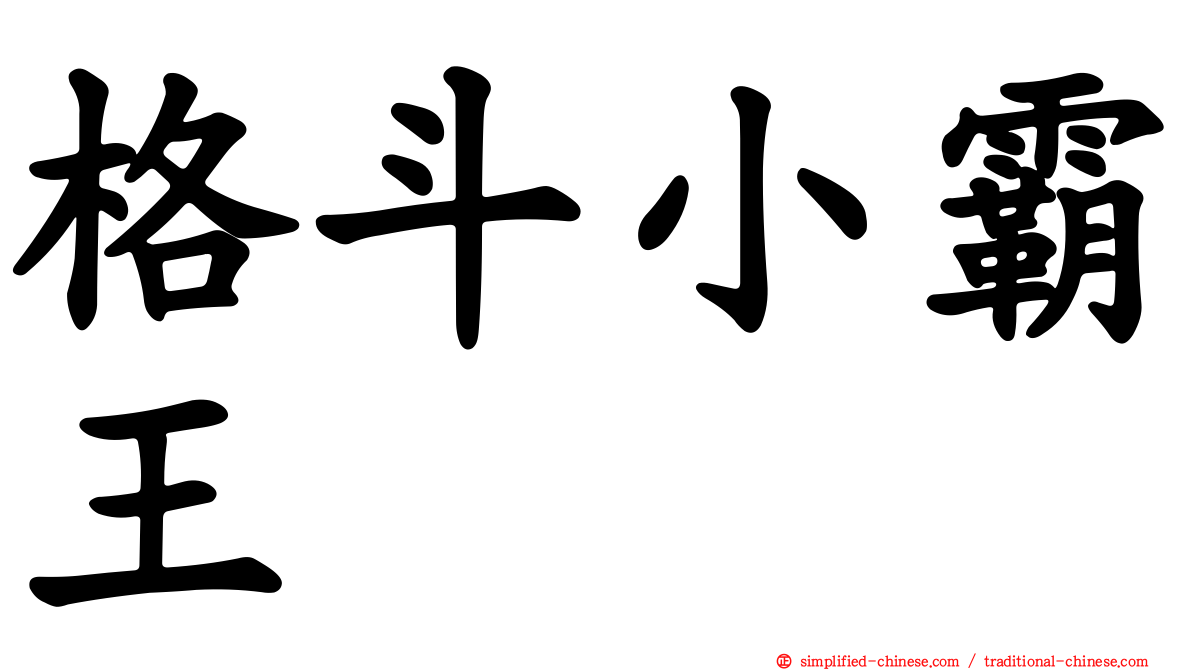 格斗小霸王