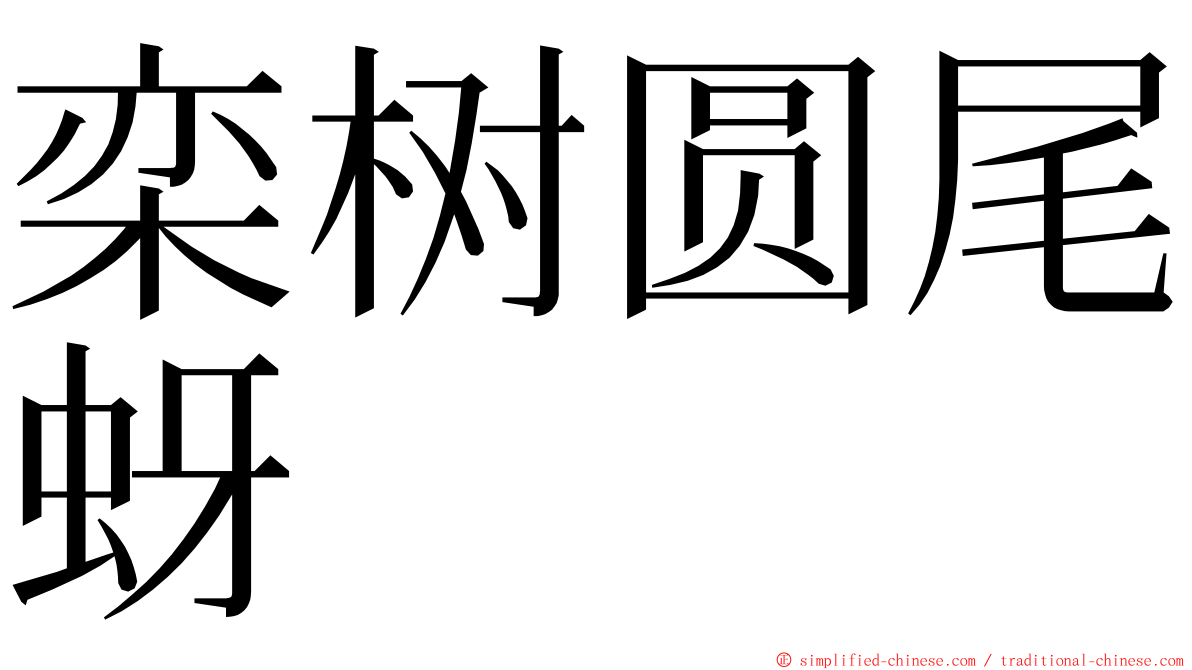 栾树圆尾蚜 ming font