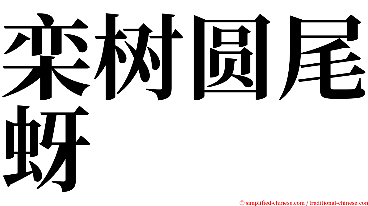 栾树圆尾蚜 serif font