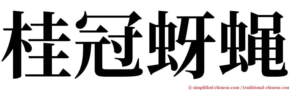 桂冠蚜蝇 serif font
