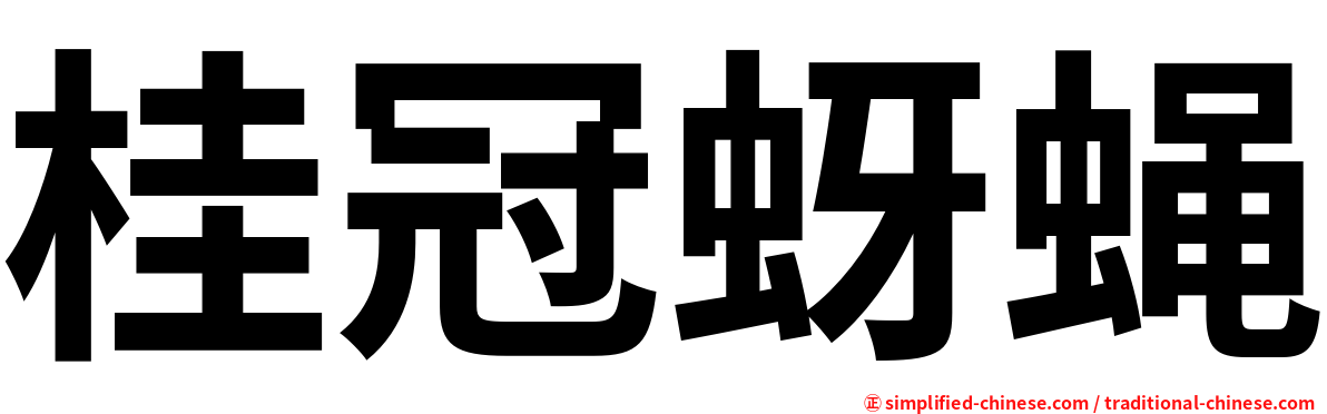 桂冠蚜蝇