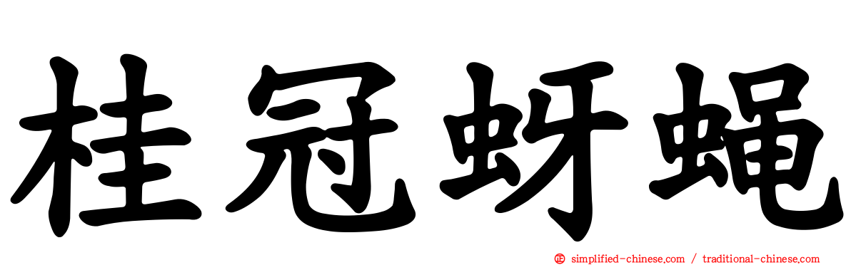 桂冠蚜蝇