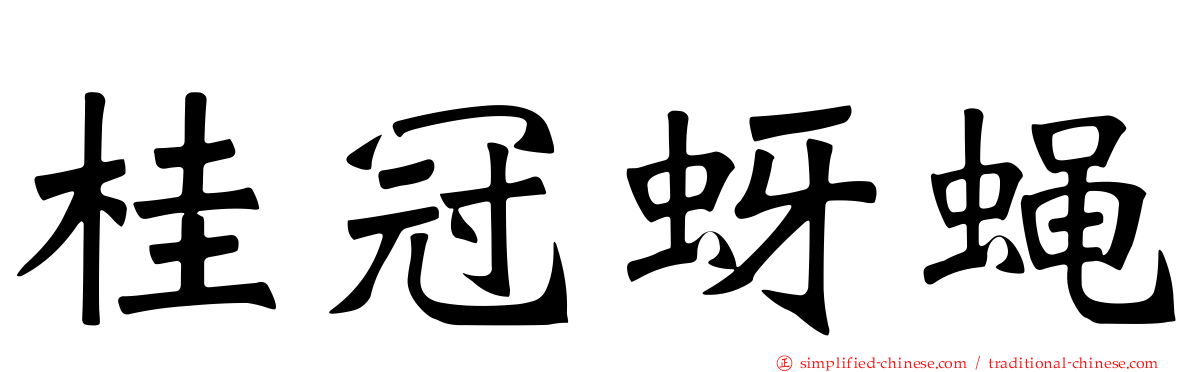 桂冠蚜蝇