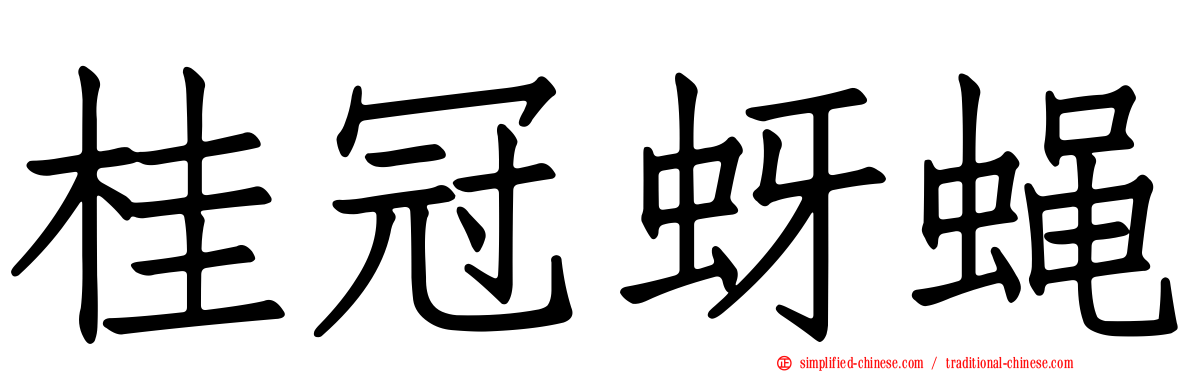 桂冠蚜蝇