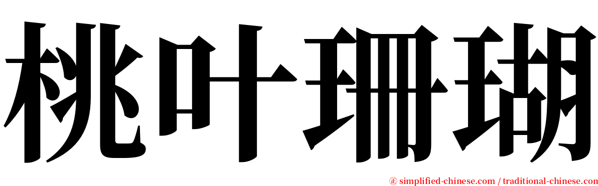 桃叶珊瑚 serif font