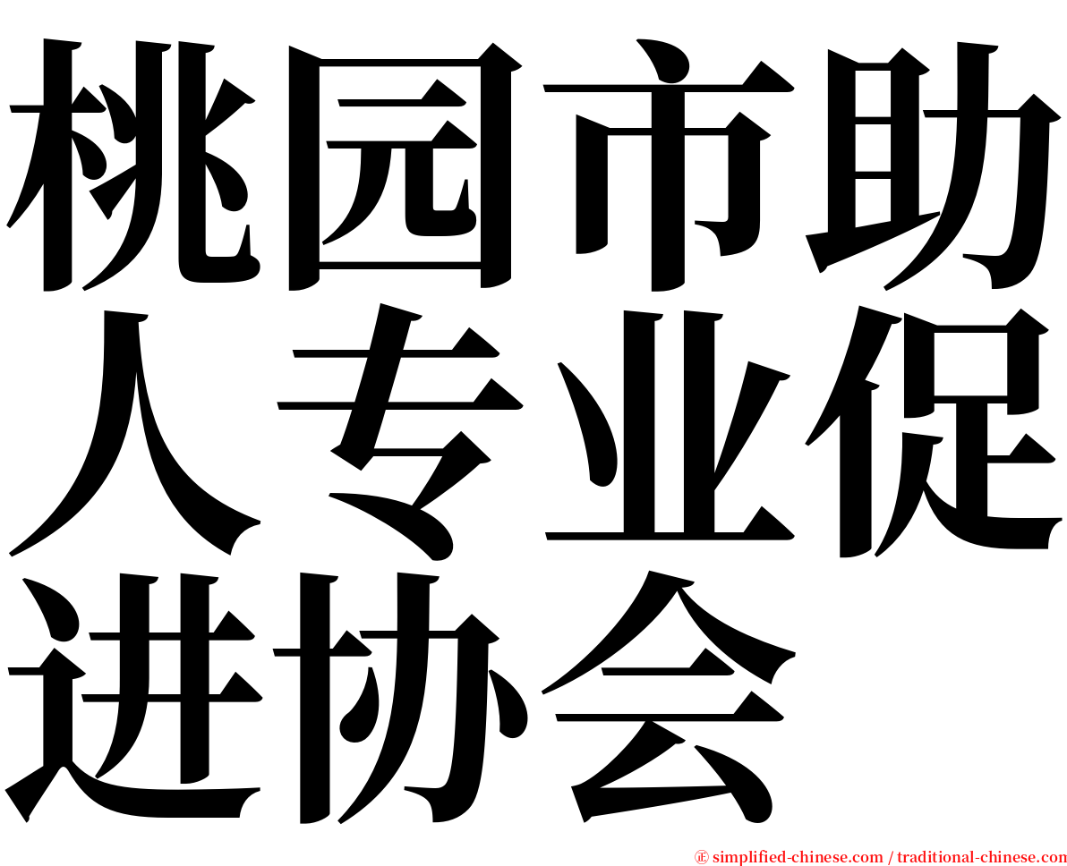 桃园市助人专业促进协会 serif font