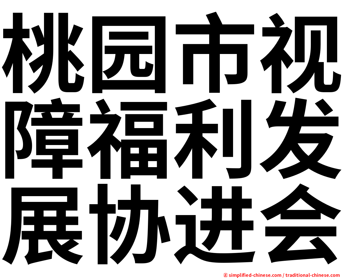 桃园市视障福利发展协进会
