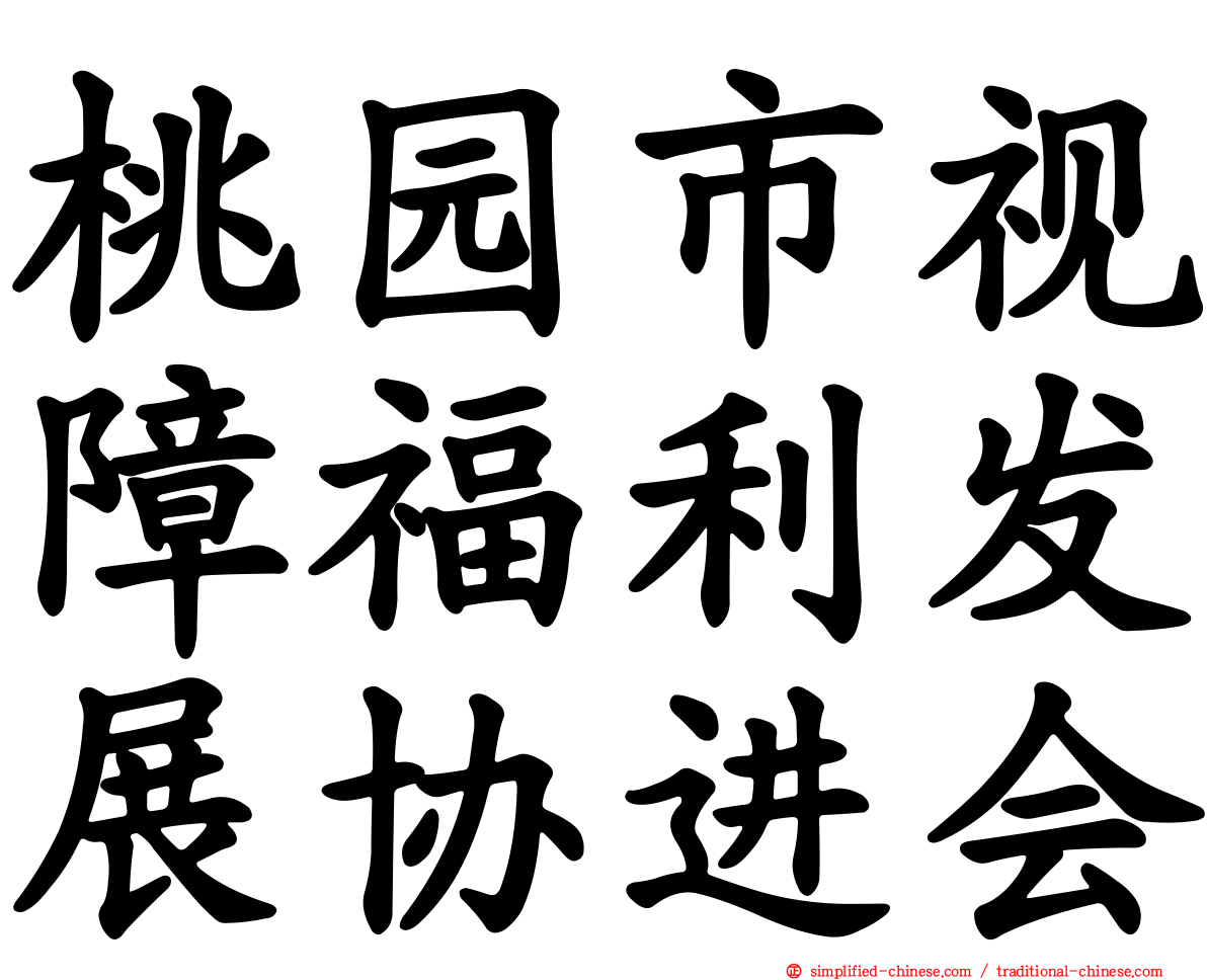 桃园市视障福利发展协进会