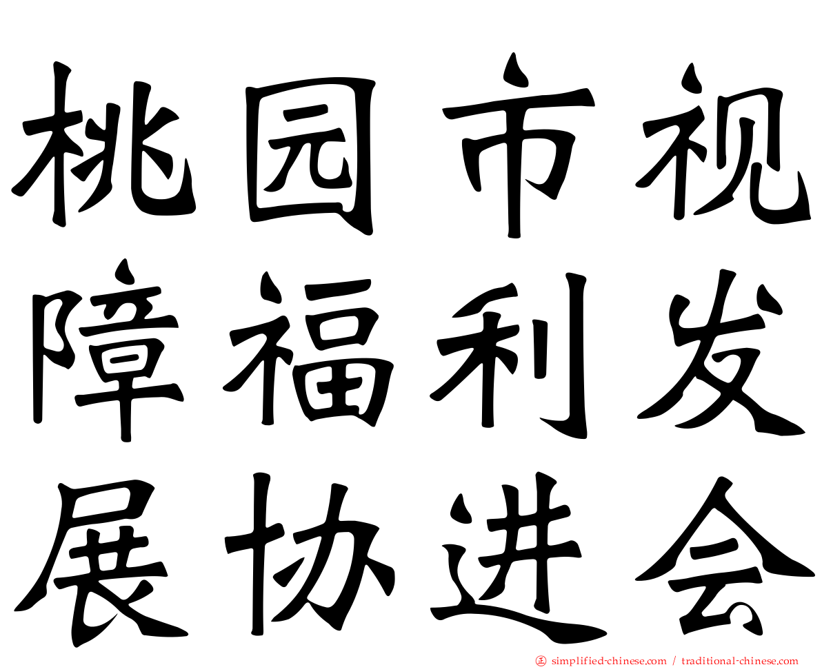 桃园市视障福利发展协进会