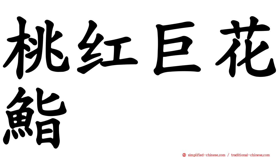 桃红巨花鮨