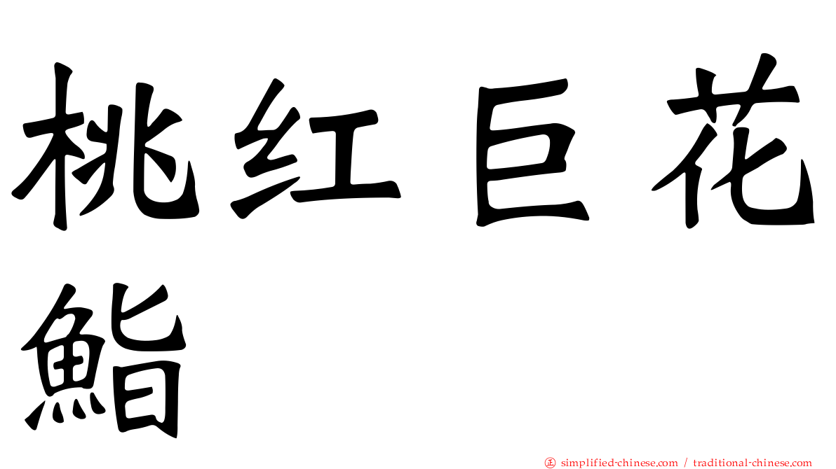 桃红巨花鮨