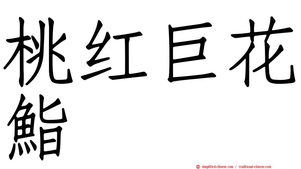 桃红巨花鮨