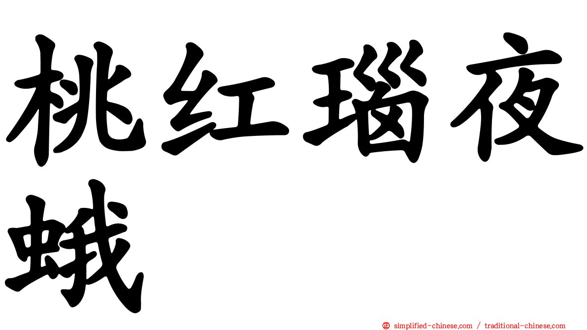 桃红瑙夜蛾